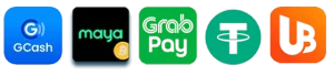 r85 website image 18 showing payment